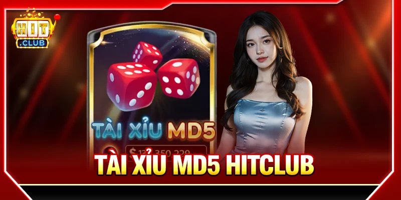 Tài Xỉu MD5 HITCLUB - Cách Chơi Dễ Thắng Cho Người Mới Tài xỉu MD5 Hitclub